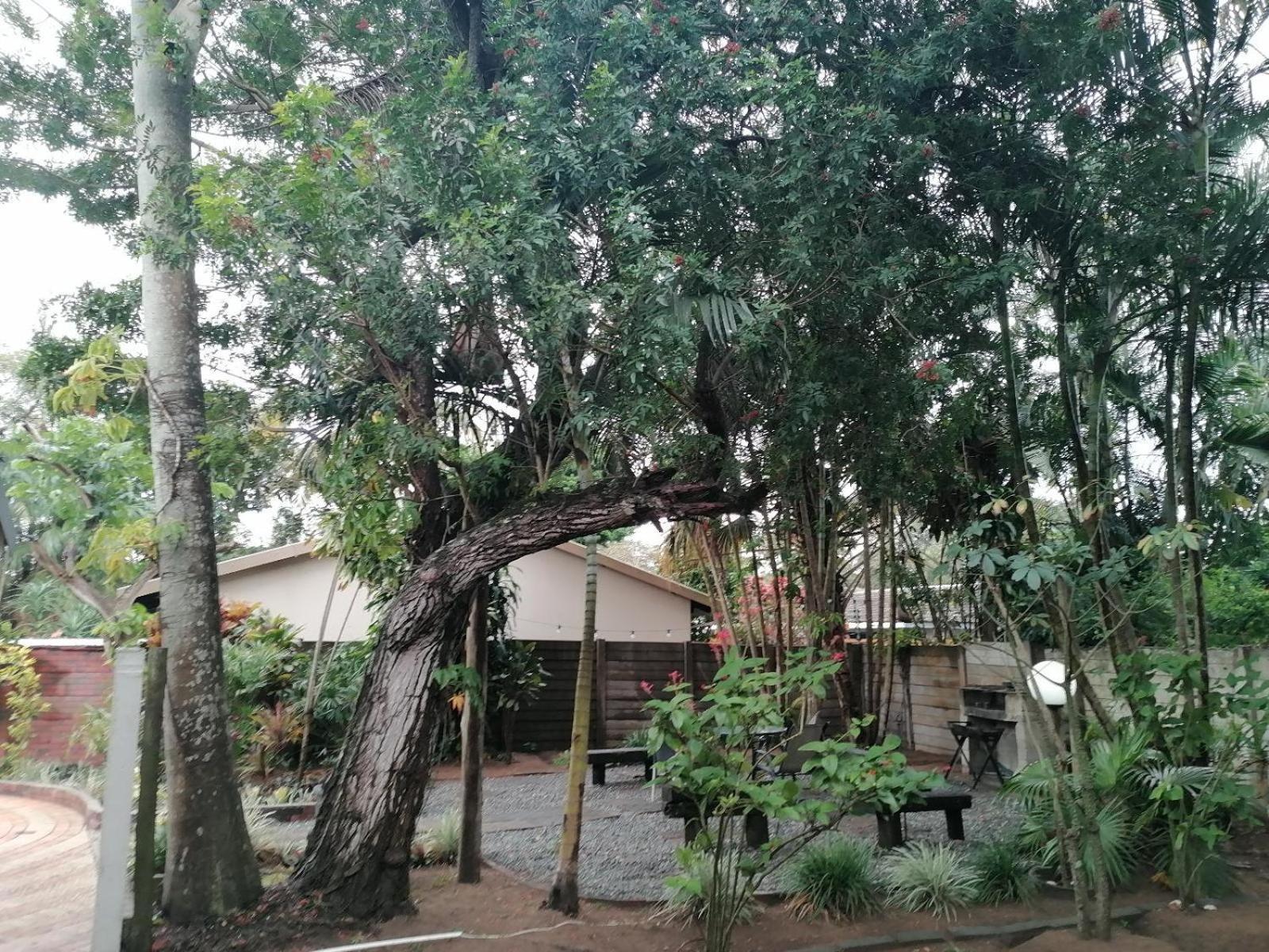 Bed and Breakfast Nqabanqaba Richards Bay Exteriér fotografie